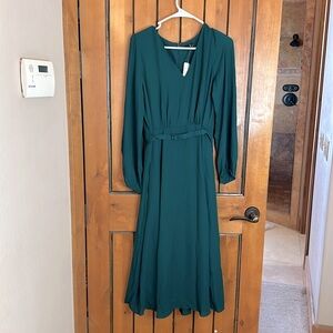 And Taylor factory for a green dress NWT
